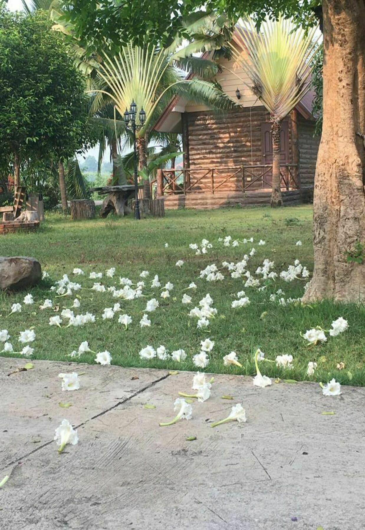 Bansuan Chomdao Resort Khonken Kültér fotó